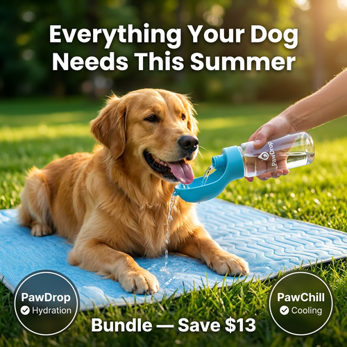 Everything Your Dog Needs This Summer - Bundle Save $13